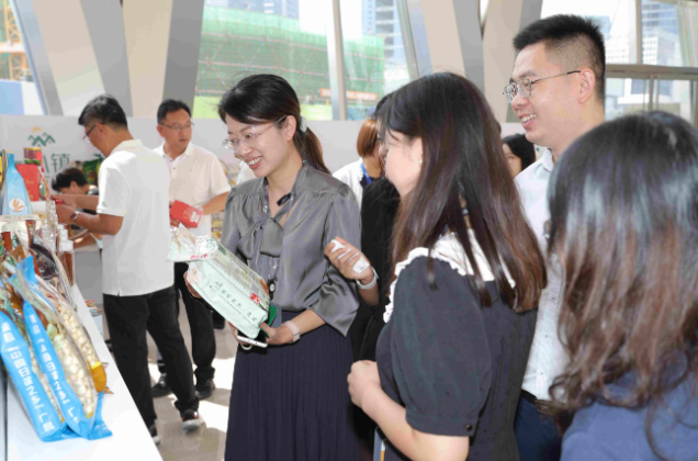 新盛公司乡村振兴成果展开展(图1)