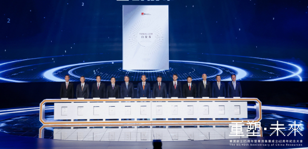 新盛集团发布公司治理白皮书(图1)